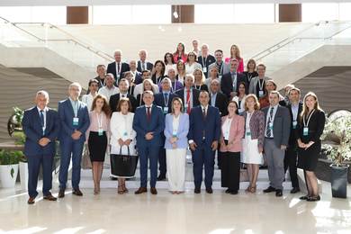 Vice-Rector Balaban Participated in the Work of the Ministerial Conference