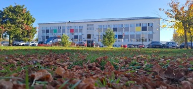 Predavanje docenta Aleksandra M. Savića