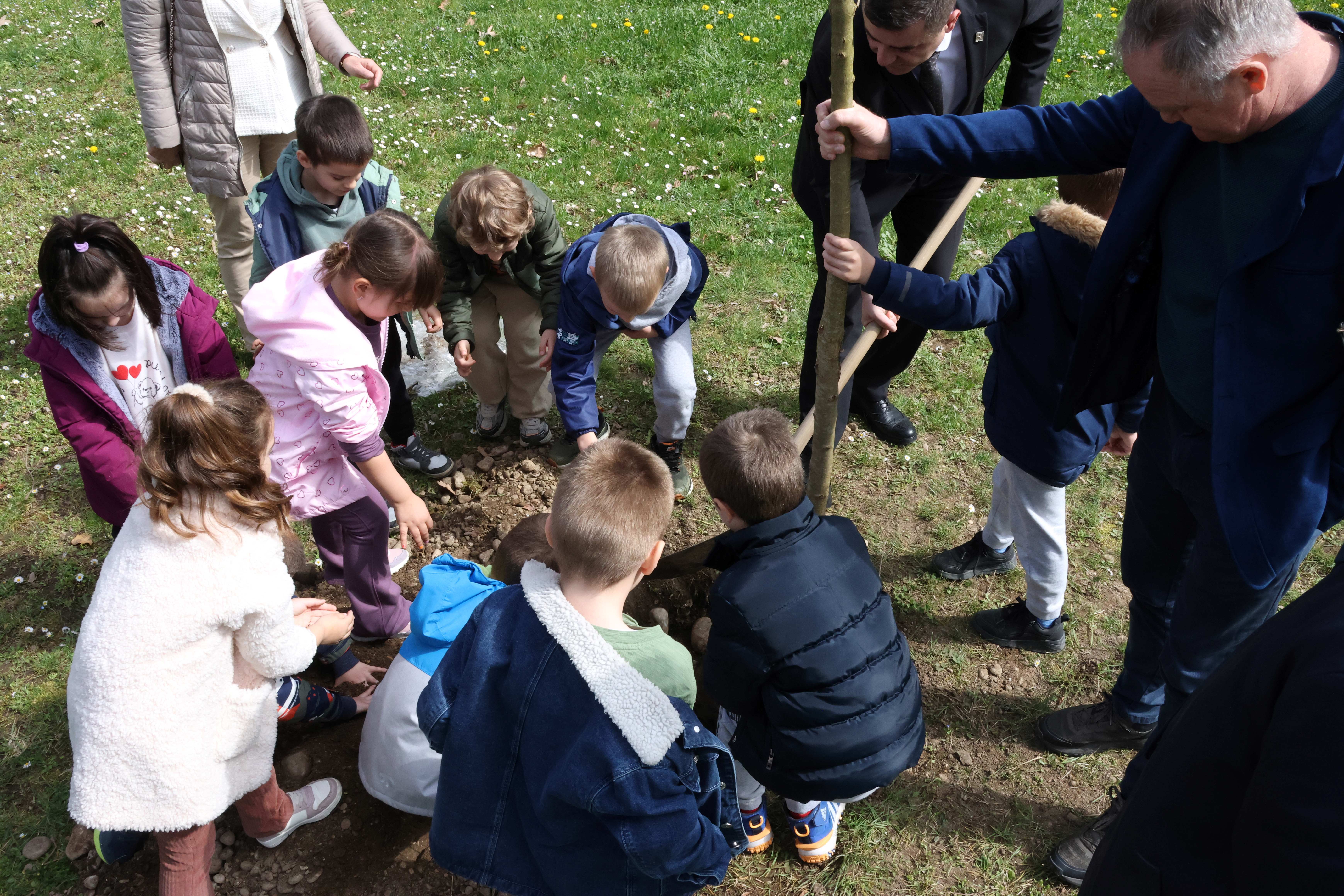 Међународни дан шума у знаку пољског јасена
