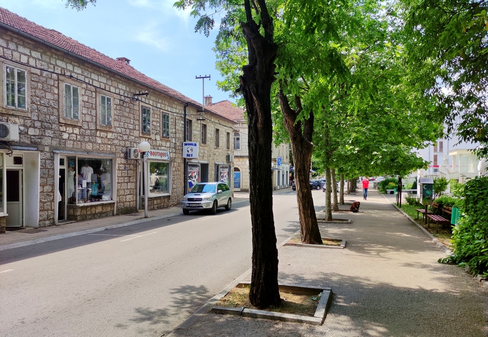 Презентација студентских радова о архитектури Билеће