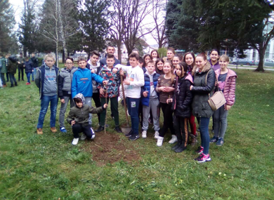 Studenti zasadili stabla oraha