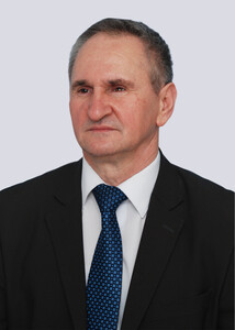 prof. dr Nenad Stojanović